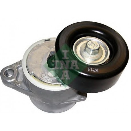 Tendicinghia cinghia Poly-V