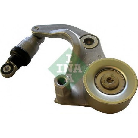 Tendicinghia cinghia Poly-V