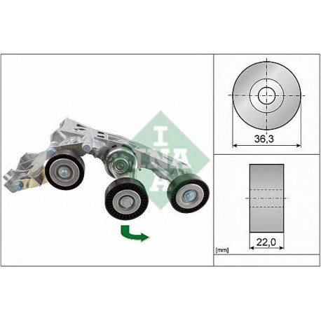 Tendicinghia cinghia Poly-V