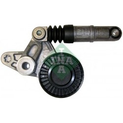 Tendicinghia cinghia Poly-V