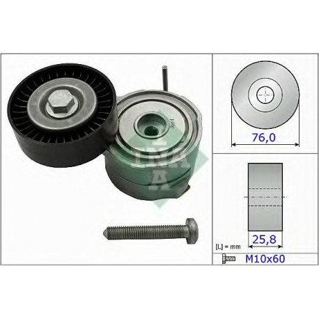 Tendicinghia cinghia Poly-V