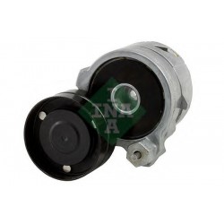 Tendicinghia cinghia Poly-V