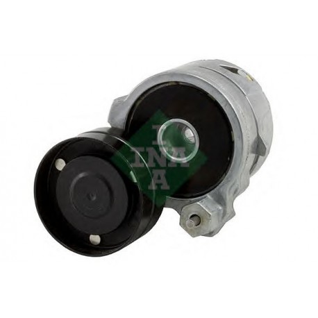 Tendicinghia cinghia Poly-V