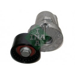 Tendicinghia cinghia Poly-V