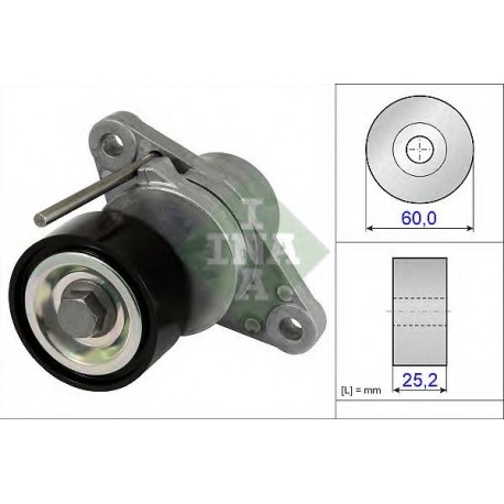 Tendicinghia cinghia Poly-V