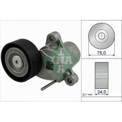 Tendicinghia cinghia Poly-V