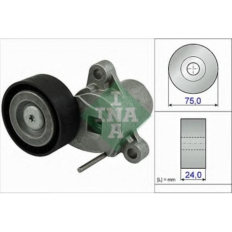 Tendicinghia cinghia Poly-V