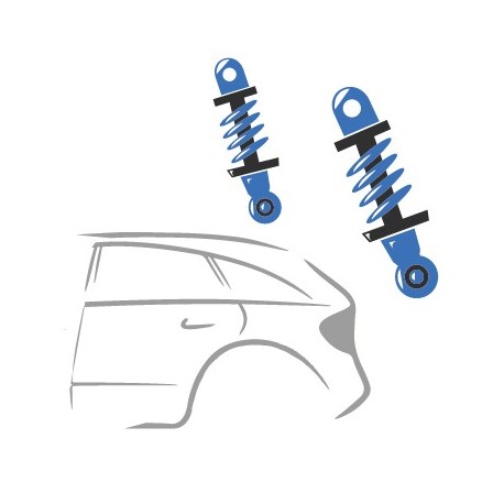 Ammortizzatori posteriori